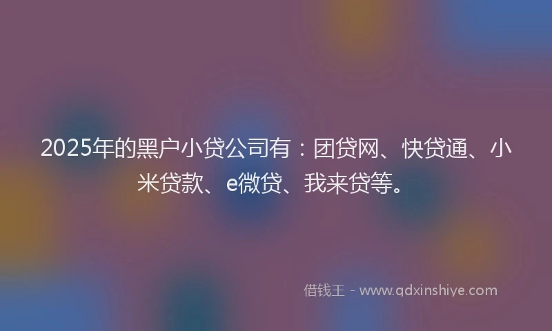 2025年的黑户小贷公司有：团贷网、快贷通、小米贷款、e微贷、我来贷等。