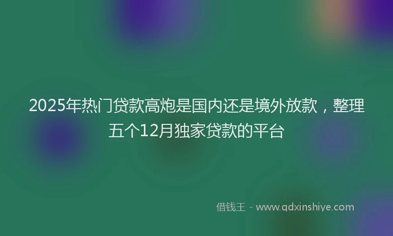 2025年热门贷款高炮是国内还是境外放款，整理五个12月独家贷款的平台