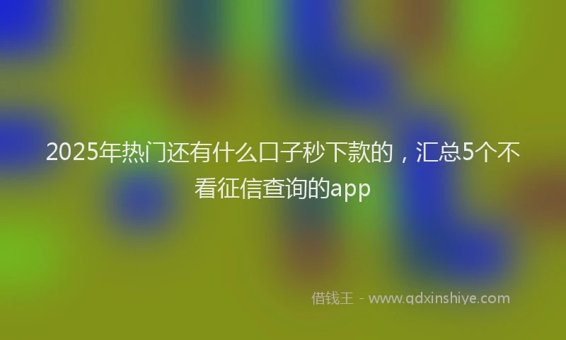 2025年热门还有什么口子秒下款的，汇总5个不看征信查询的app