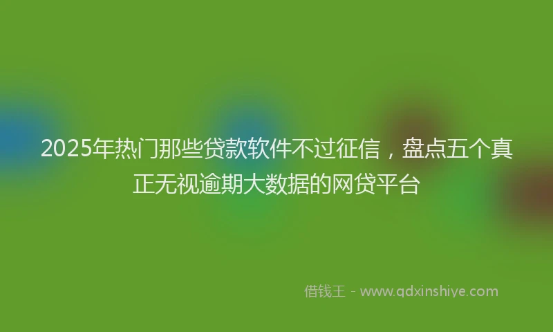 2025年热门那些贷款软件不过征信，盘点五个真正无视逾期大数据的网贷平台