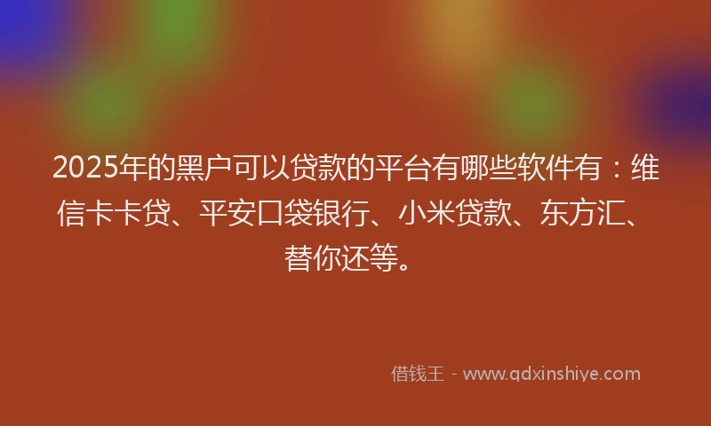2025年的黑户可以贷款的平台有哪些软件有：维信卡卡贷、平安口袋银行、小米贷款、东方汇、替你还等。
