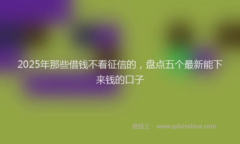 2025年那些借钱不看征信的，盘点五个最新能下来钱的口子