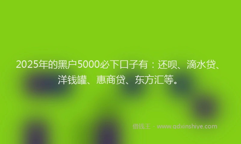 2025年的黑户5000必下口子有：还呗、滴水贷、洋钱罐、惠商贷、东方汇等。