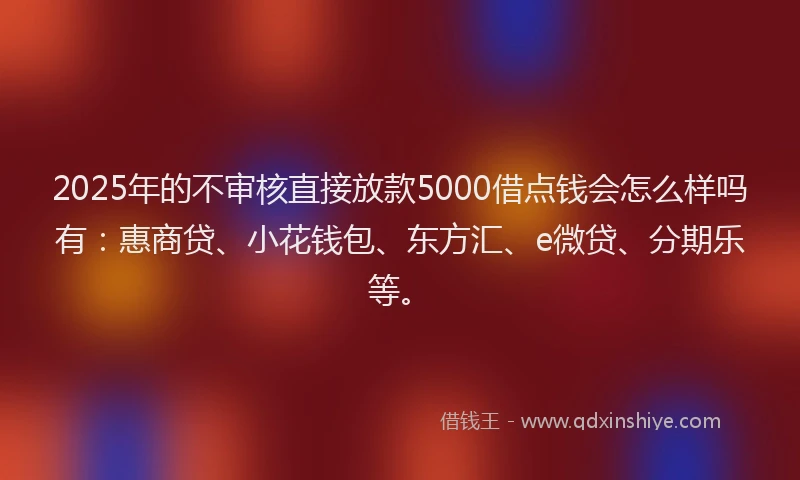2025年的不审核直接放款5000借点钱会怎么样吗有：惠商贷、小花钱包、东方汇、e微贷、分期乐等。