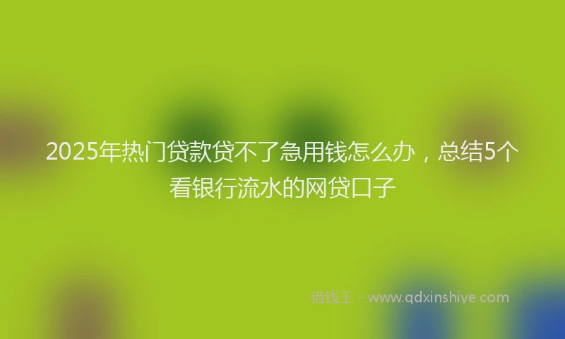 2025年热门贷款贷不了急用钱怎么办，总结5个看银行流水的网贷口子