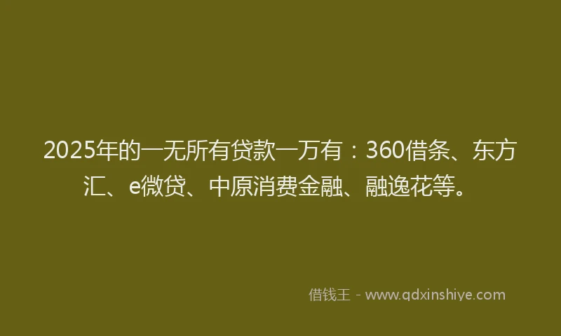 2025年的一无所有贷款一万有：360借条、东方汇、e微贷、中原消费金融、融逸花等。