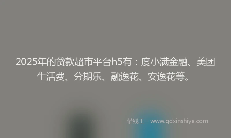 2025年的贷款超市平台h5有：度小满金融、美团生活费、分期乐、融逸花、安逸花等。