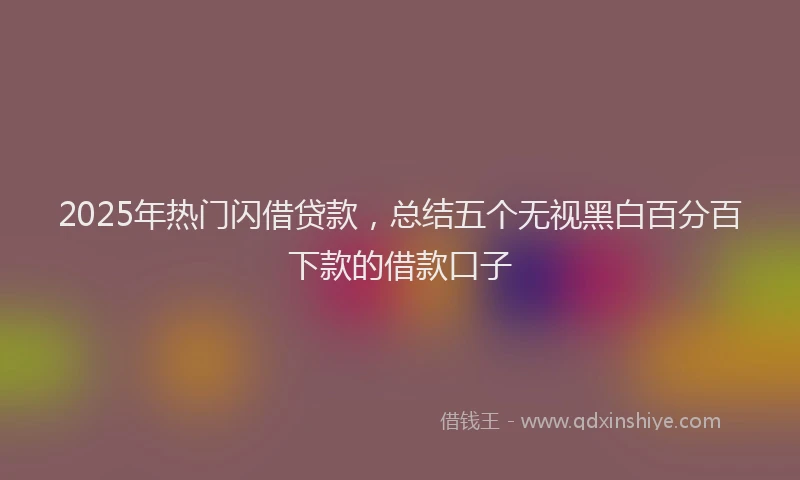2025年热门闪借贷款，总结五个无视黑白百分百下款的借款口子