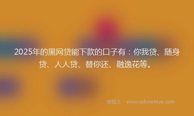 2025年的黑网贷能下款的口子有：你我贷、随身贷、人人贷、替你还、融逸花等。