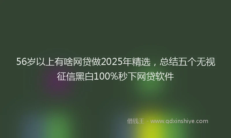 56岁以上有啥网贷做2025年精选，总结五个无视征信黑白100%秒下网贷软件