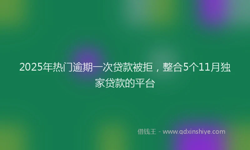 2025年热门逾期一次贷款被拒，整合5个11月独家贷款的平台