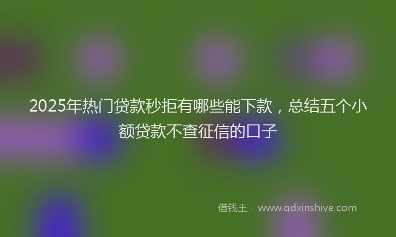 2025年热门贷款秒拒有哪些能下款，总结五个小额贷款不查征信的口子