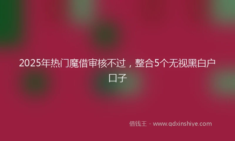 2025年热门魔借审核不过，整合5个无视黑白户口子