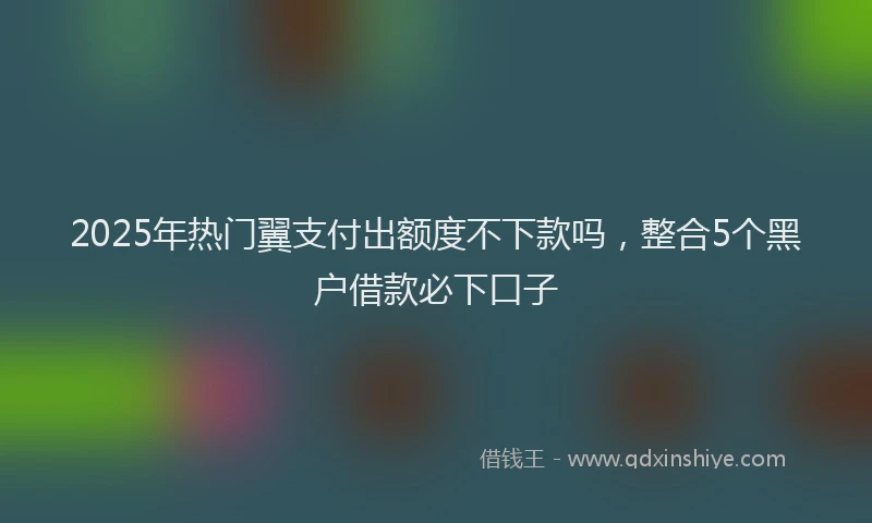 2025年热门翼支付出额度不下款吗，整合5个黑户借款必下口子