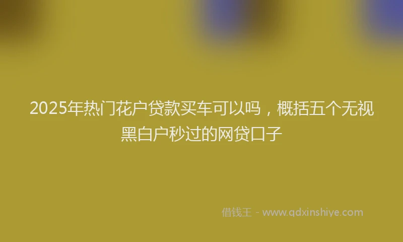 2025年热门花户贷款买车可以吗，概括五个无视黑白户秒过的网贷口子