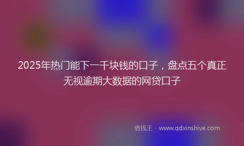 2025年热门能下一千块钱的口子，盘点五个真正无视逾期大数据的网贷口子