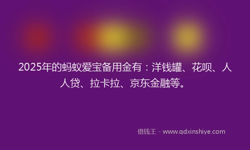 2025年的蚂蚁爱宝备用金有：洋钱罐、花呗、人人贷、拉卡拉、京东金融等。