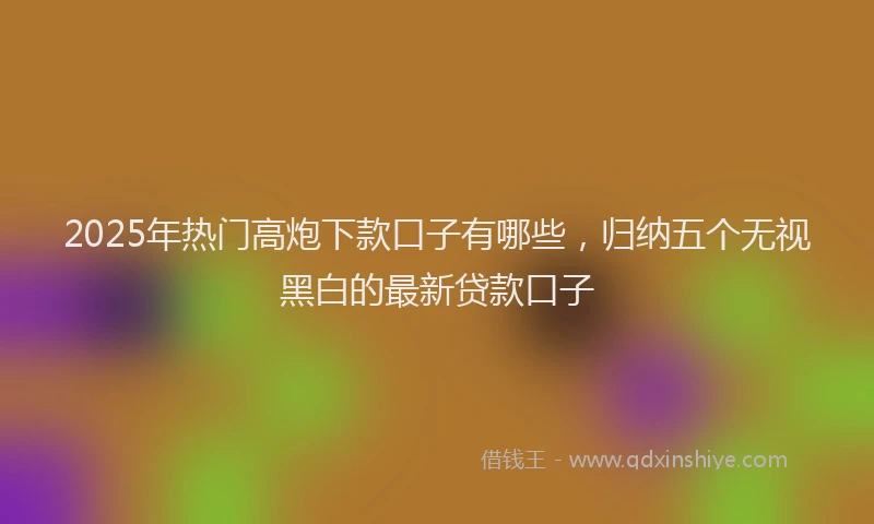 2025年热门高炮下款口子有哪些，归纳五个无视黑白的最新贷款口子