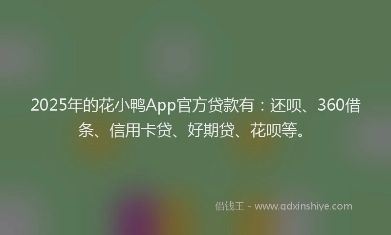 2025年的花小鸭App官方贷款有：还呗、360借条、信用卡贷、好期贷、花呗等。