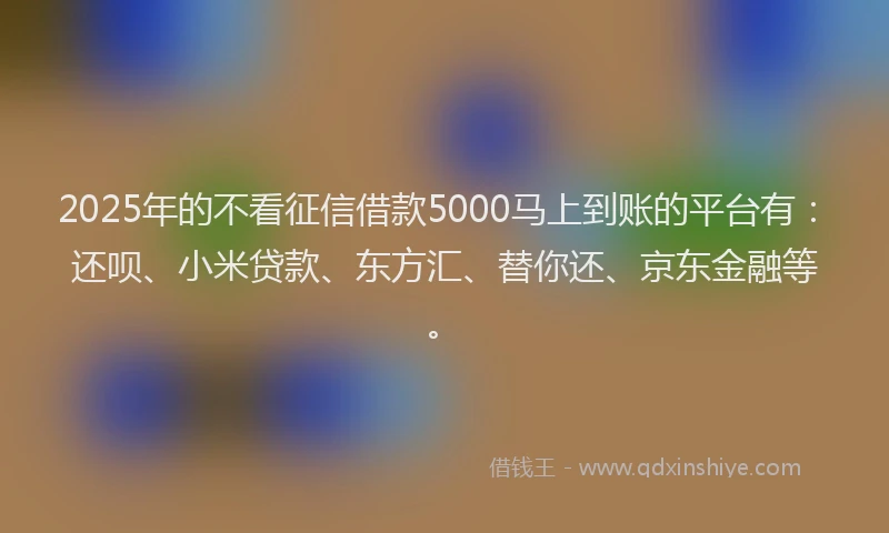 2025年的不看征信借款5000马上到账的平台有：还呗、小米贷款、东方汇、替你还、京东金融等。
