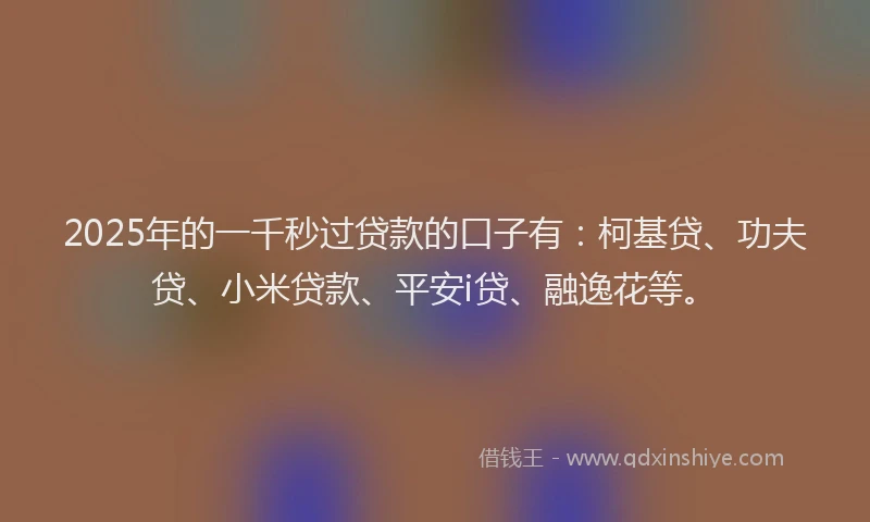 2025年的一千秒过贷款的口子有：柯基贷、功夫贷、小米贷款、平安i贷、融逸花等。