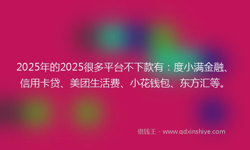 2025年的2025很多平台不下款有：度小满金融、信用卡贷、美团生活费、小花钱包、东方汇等。