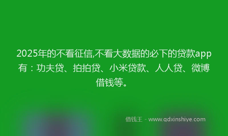 2025年的不看征信,不看大数据的必下的贷款app有：功夫贷、拍拍贷、小米贷款、人人贷、微博借钱等。