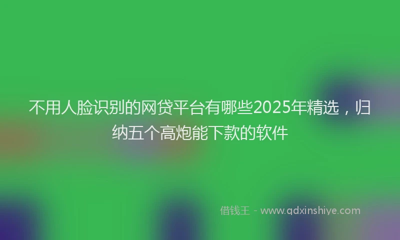 不用人脸识别的网贷平台有哪些2025年精选，归纳五个高炮能下款的软件