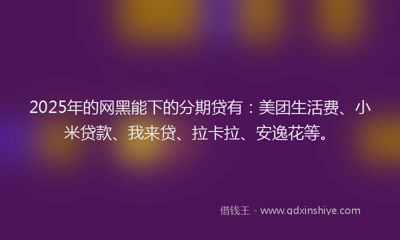 2025年的网黑能下的分期贷有：美团生活费、小米贷款、我来贷、拉卡拉、安逸花等。
