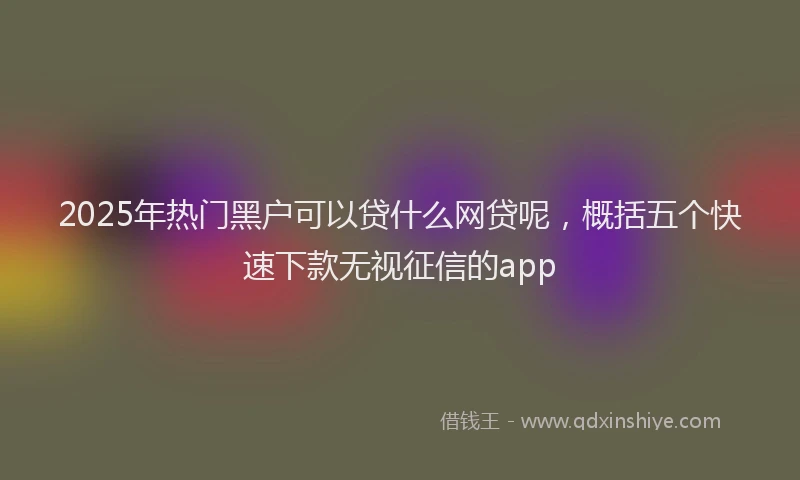 2025年热门黑户可以贷什么网贷呢，概括五个快速下款无视征信的app