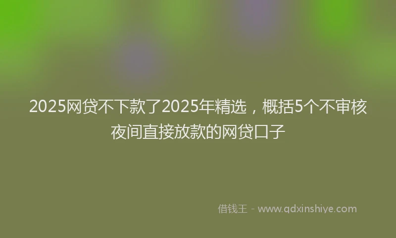 2025网贷不下款了2025年精选，概括5个不审核夜间直接放款的网贷口子