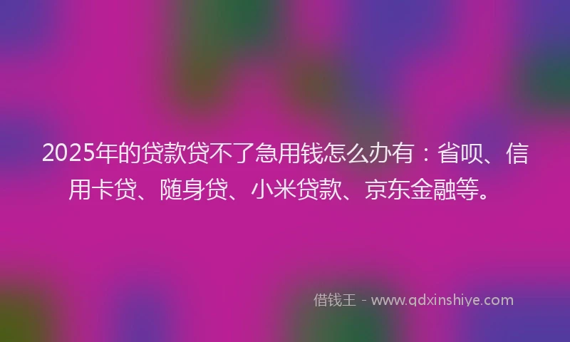 2025年的贷款贷不了急用钱怎么办有：省呗、信用卡贷、随身贷、小米贷款、京东金融等。