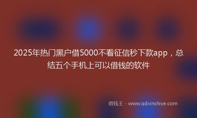 2025年热门黑户借5000不看征信秒下款app，总结五个手机上可以借钱的软件