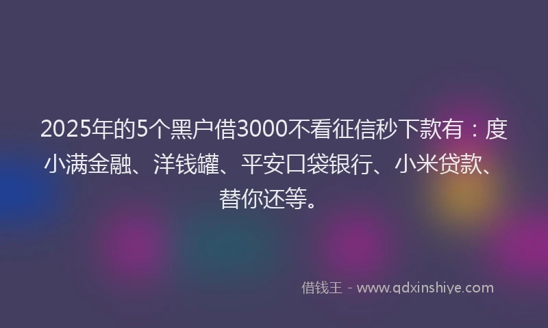 2025年的5个黑户借3000不看征信秒下款有：度小满金融、洋钱罐、平安口袋银行、小米贷款、替你还等。