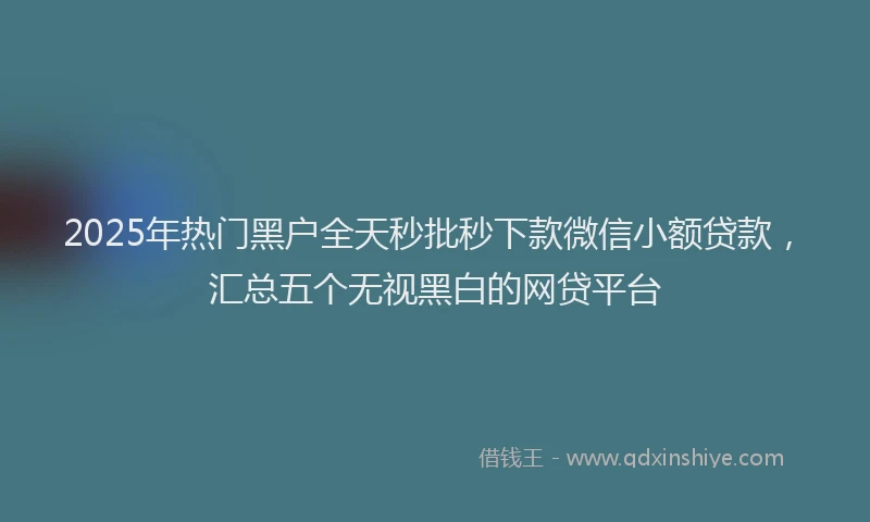 2025年热门黑户全天秒批秒下款微信小额贷款，汇总五个无视黑白的网贷平台