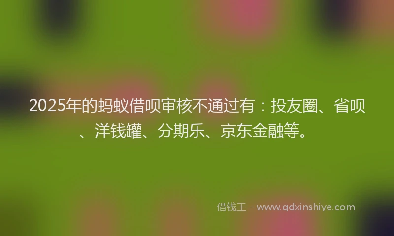 2025年的蚂蚁借呗审核不通过有：投友圈、省呗、洋钱罐、分期乐、京东金融等。