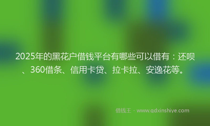 2025年的黑花户借钱平台有哪些可以借有：还呗、360借条、信用卡贷、拉卡拉、安逸花等。