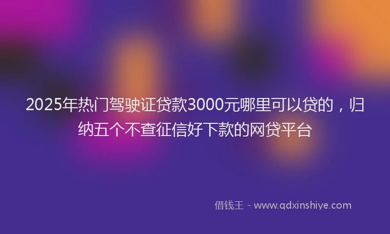 2025年热门驾驶证贷款3000元哪里可以贷的，归纳五个不查征信好下款的网贷平台