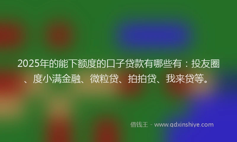 2025年的能下额度的口子贷款有哪些有：投友圈、度小满金融、微粒贷、拍拍贷、我来贷等。