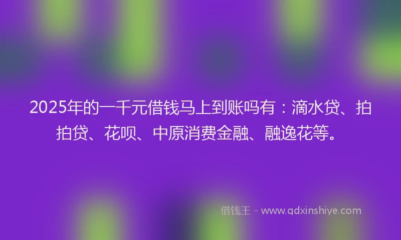 2025年的一千元借钱马上到账吗有：滴水贷、拍拍贷、花呗、中原消费金融、融逸花等。