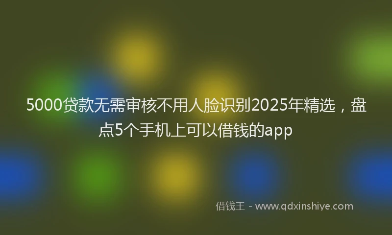 5000贷款无需审核不用人脸识别2025年精选，盘点5个手机上可以借钱的app