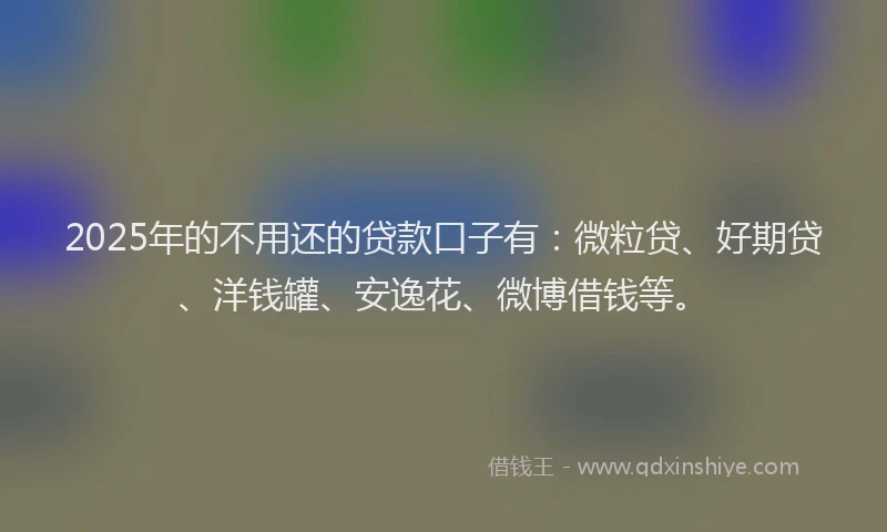 2025年的不用还的贷款口子有：微粒贷、好期贷、洋钱罐、安逸花、微博借钱等。