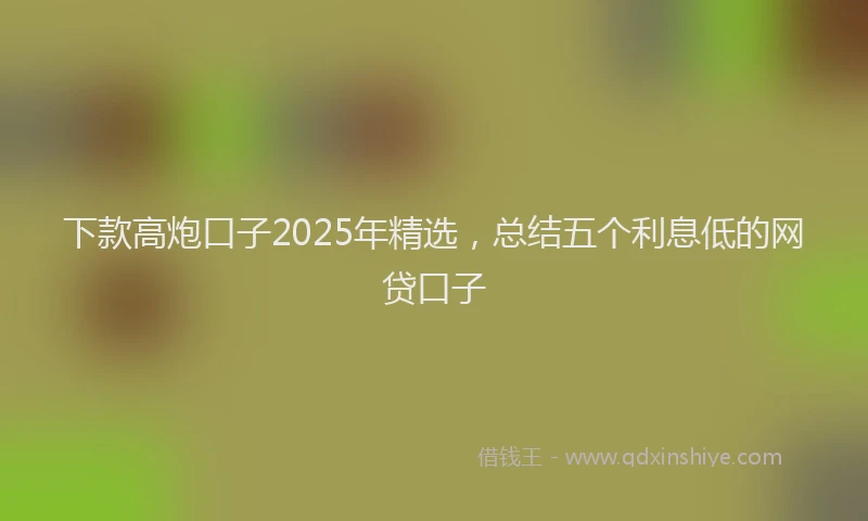 下款高炮口子2025年精选，总结五个利息低的网贷口子