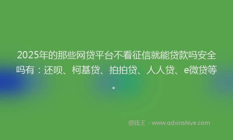 2025年的那些网贷平台不看征信就能贷款吗安全吗有：还呗、柯基贷、拍拍贷、人人贷、e微贷等。
