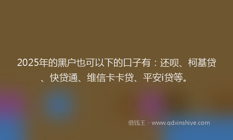 2025年的黑户也可以下的口子有：还呗、柯基贷、快贷通、维信卡卡贷、平安i贷等。