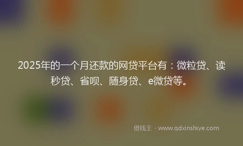 2025年的一个月还款的网贷平台有：微粒贷、读秒贷、省呗、随身贷、e微贷等。