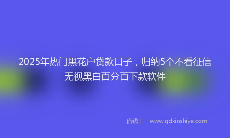 2025年热门黑花户贷款口子，归纳5个不看征信无视黑白百分百下款软件