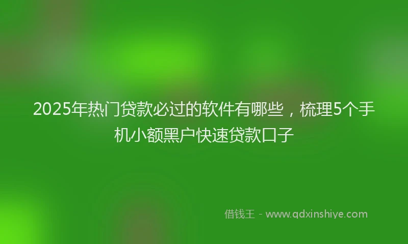 2025年热门贷款必过的软件有哪些，梳理5个手机小额黑户快速贷款口子