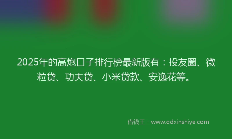 2025年的高炮口子排行榜最新版有：投友圈、微粒贷、功夫贷、小米贷款、安逸花等。