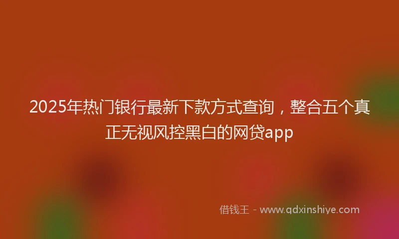 2025年热门银行最新下款方式查询，整合五个真正无视风控黑白的网贷app
